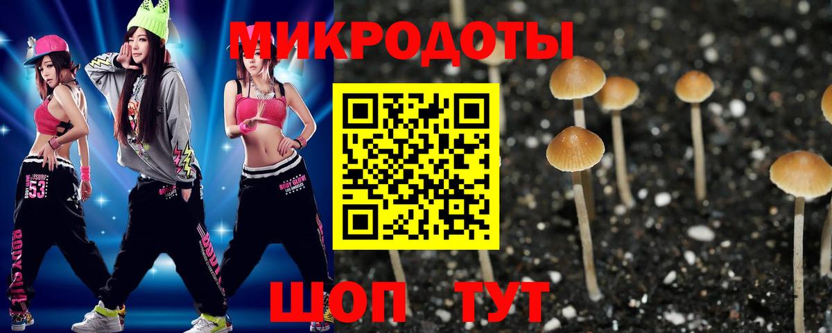 Псилоцибиновые грибы Magic Shrooms  Вход с VPN  Дзержинск  Псилоцибиновые грибы Cubensis 